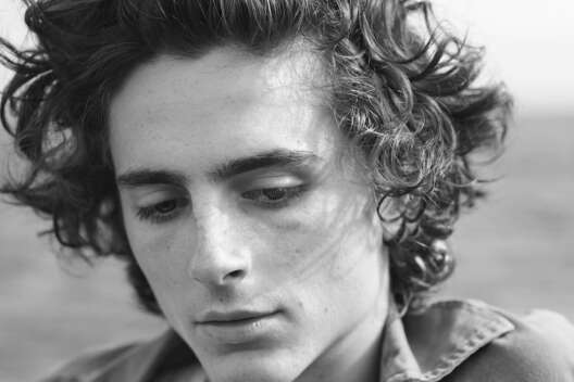 Тимоти Шаламе и не только: 5 актеров-красавчиков, чьи имена стоит запомнить