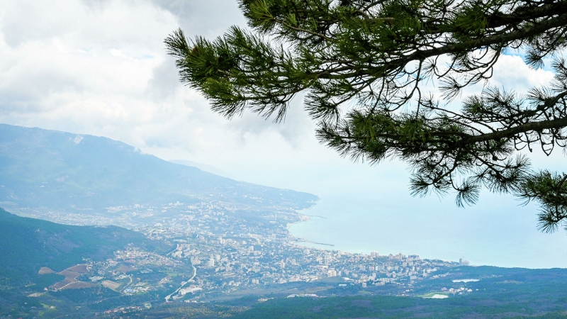 Британскую королевскую семью пригласили посетить Крым