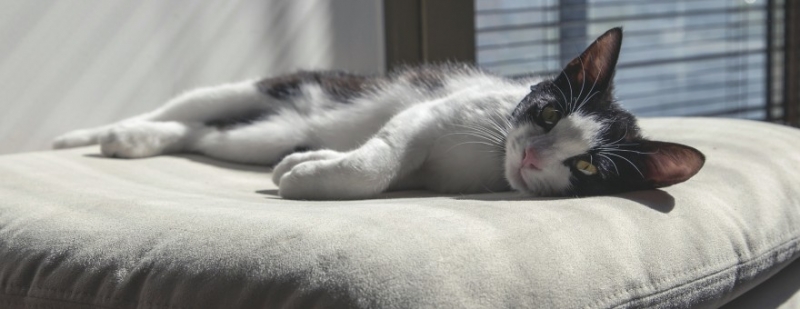 Сервис бронирования Airbnb в третьем квартале получил рекордную чистую прибыль