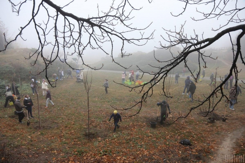 Высажено 40 миллионов деревьев: государственные лесхозы присоединились к программе президента благодаря прибылям от биржевой торговли
