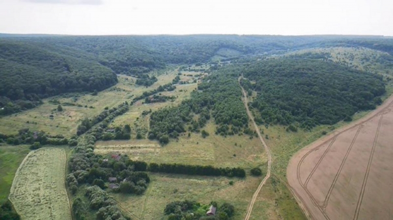 Журналисты показали дохристианское село на Тернопольщине: там живет только один человек (фото)