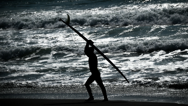 В Калифорнии серфер погиб после нападения акулы