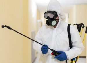 Избавление от клопов с профессиональным подходом