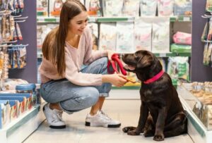 Франшиза зоомагазина: особенности и перспективы